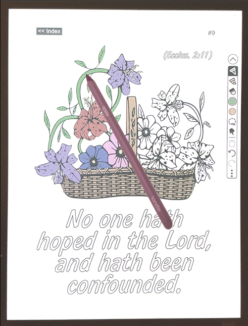 Kindle Scribe Colorsoft