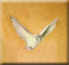 The Holy Spirit (Represented by a Dove)